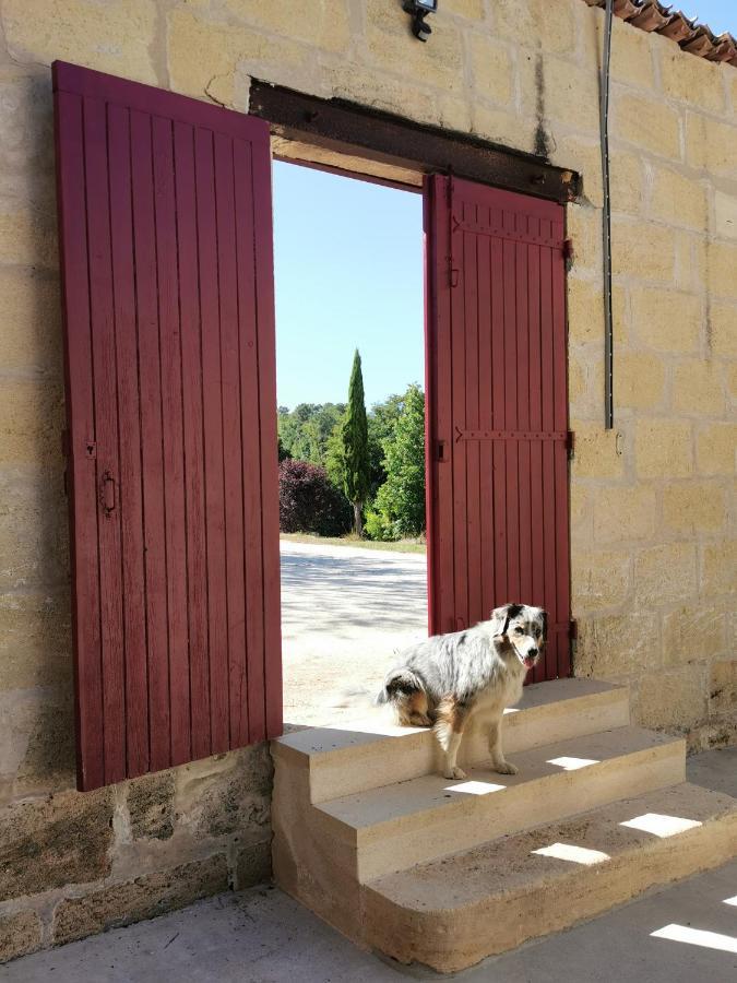 Gite De Charme Au Coeur De L'Entre-Deux-Mers Haux  Luaran gambar